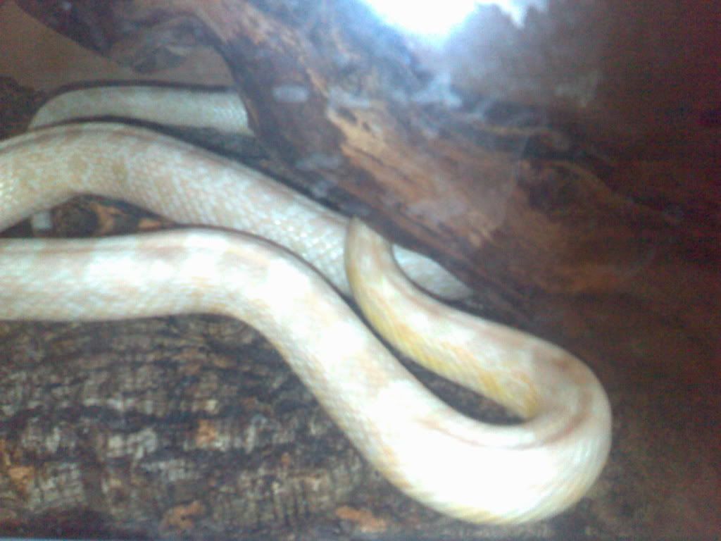 07032007114.jpg