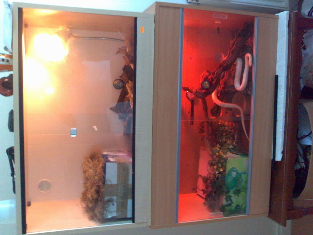 07032007116.jpg