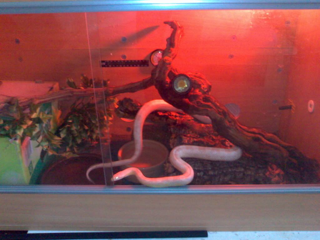 07032007117.jpg