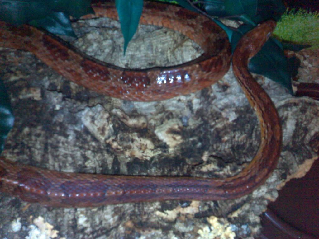 13052007045.jpg