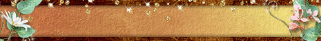 Sugar N Spice Scraps