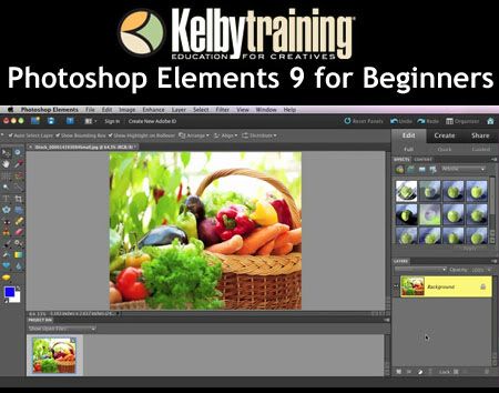 Photoshop Elements 9 for Beginners (ELearning-English) Photoshop Elements 9 for Beginners (ELearning-English)