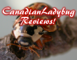 Canadianladybug Reviews!