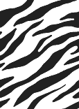 zebra girly Myspace Layout