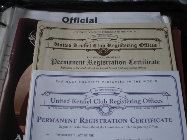 what is a ukc registered dog