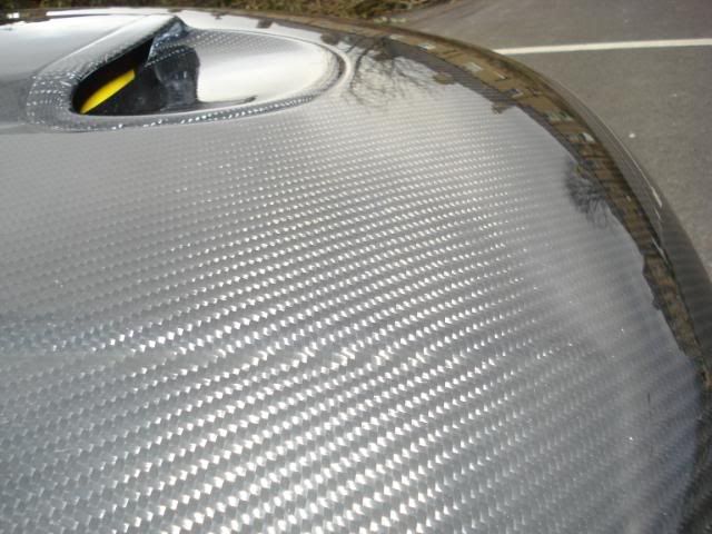 DSC01902-1.jpg
