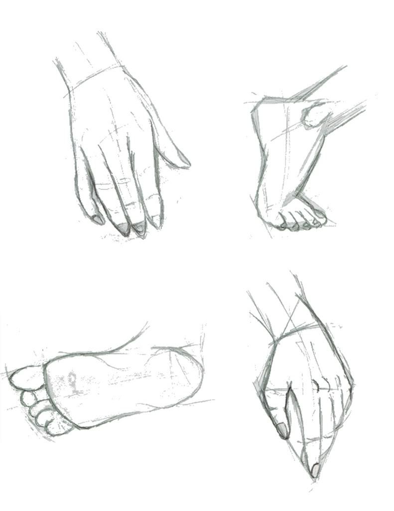 hand figure drawing