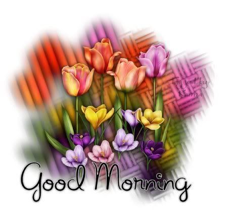 flowers Pictures, Images and Photos