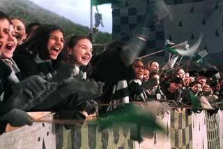 [Image: Slytherin_aficindequidditch.jpg]