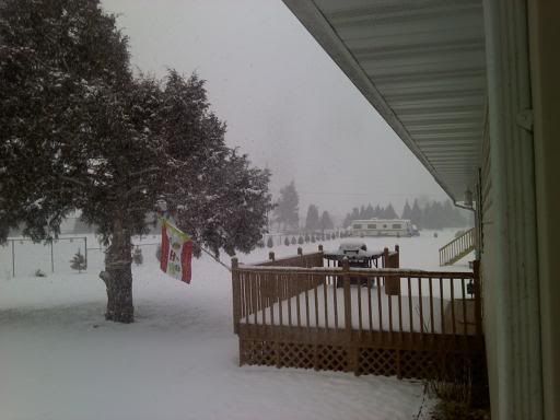 snowondec8th.jpg