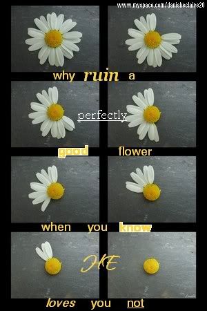 Image hotlink - 'http://i152.photobucket.com/albums/s199/DainaDances/quotepic3-4.jpg' Image hotlink - 'http://i152.photobucket.com/albums/s199/DainaDances/quotepic3-4.jpg'