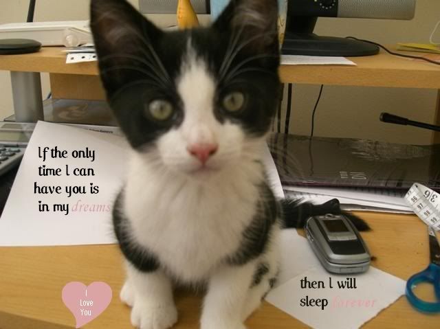 Image hotlink - 'http://i152.photobucket.com/albums/s199/DainaDances/quotepic4.jpg' Image hotlink - 'http://i152.photobucket.com/albums/s199/DainaDances/quotepic4.jpg'