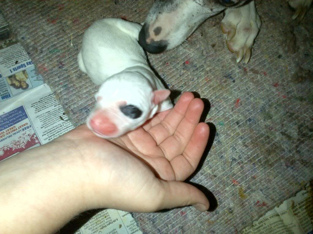 IMG-20111223-00018.jpg