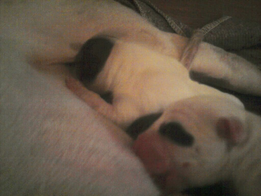 Photo0127.jpg