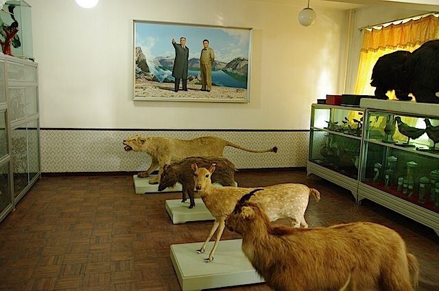 photo w5_zps561c57c6.jpg