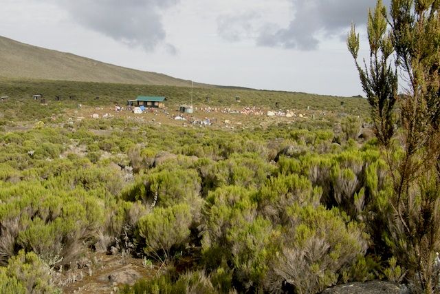 photo kili31_zps459887c6.jpg