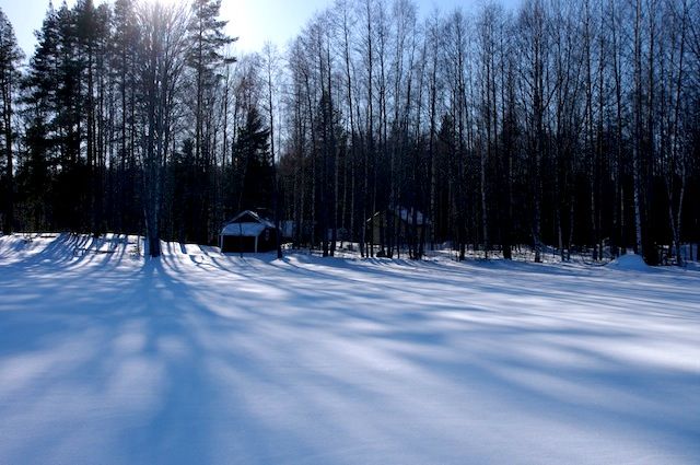 photo kuva1_zps6d5c47f6.jpg