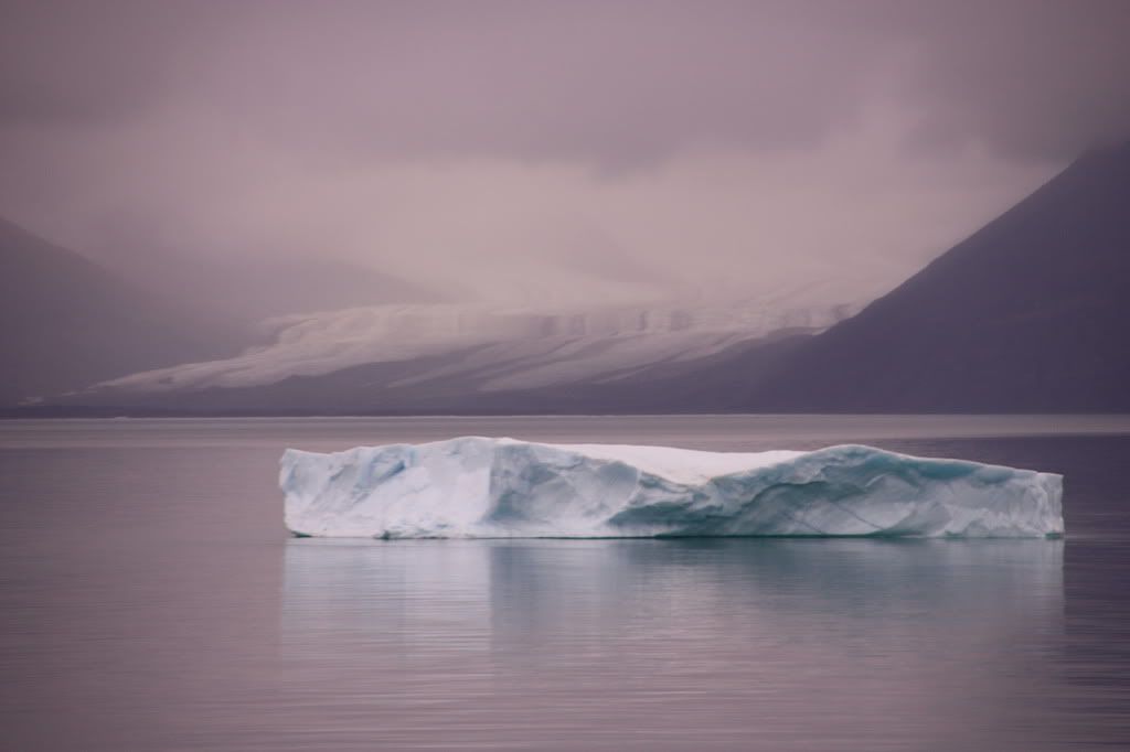 iceberg Pictures, Images and Photos
