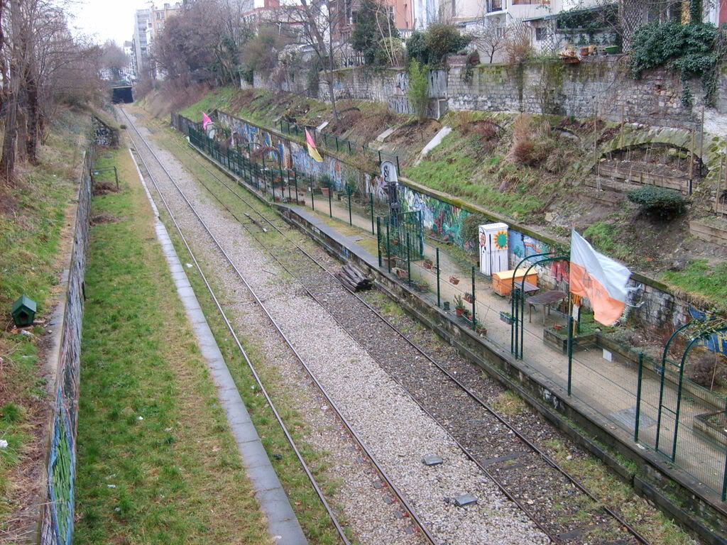 Train Tracks w/ Garden