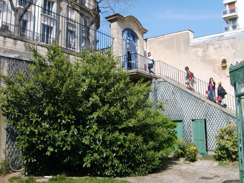 jardin/stairs/street