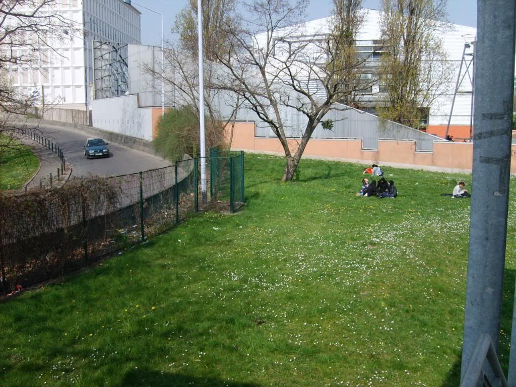 students sprout on grass