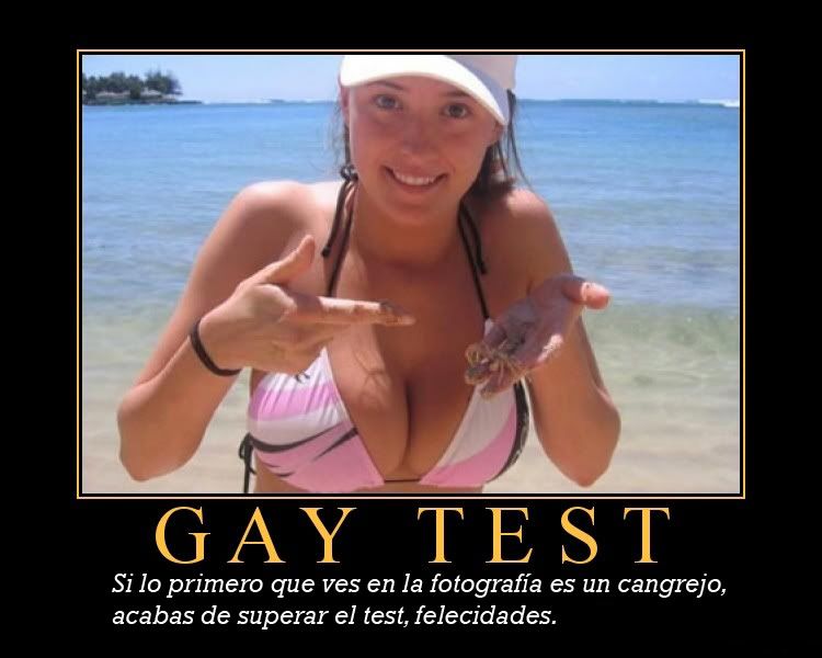 [Imagen: gaytestxo1copia.jpg]