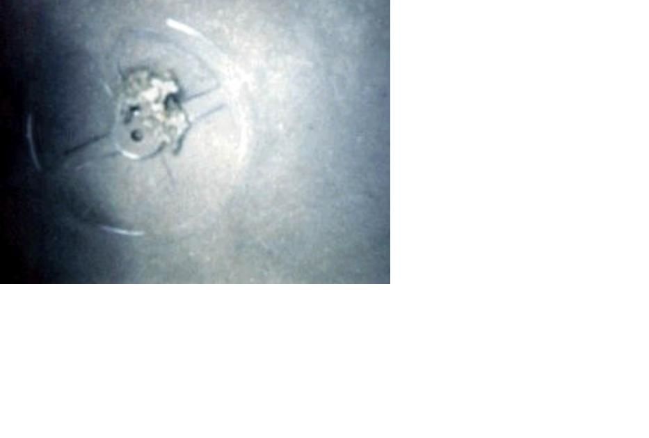 photo Chariot Wheels.3_zpssl5n01kt.jpg