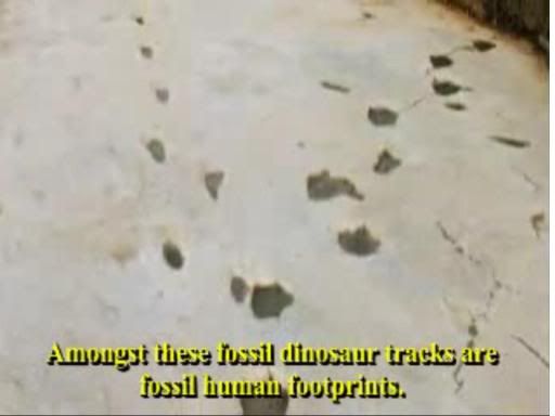 human footprints with dinosaurs