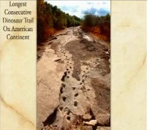 man and dinosaur footprints