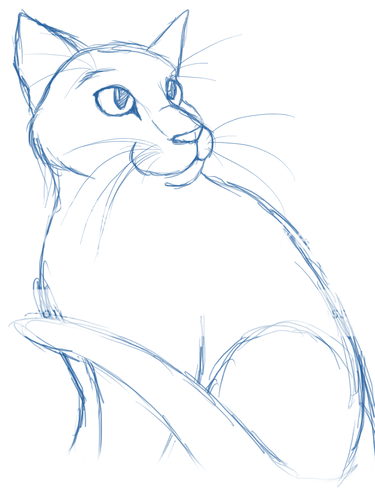 Crowfeather sketch