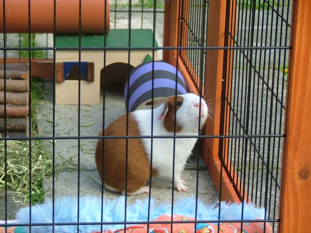 Arthurpondering-1.jpg