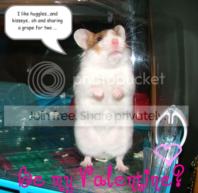 Awwwwwwww-1.jpg