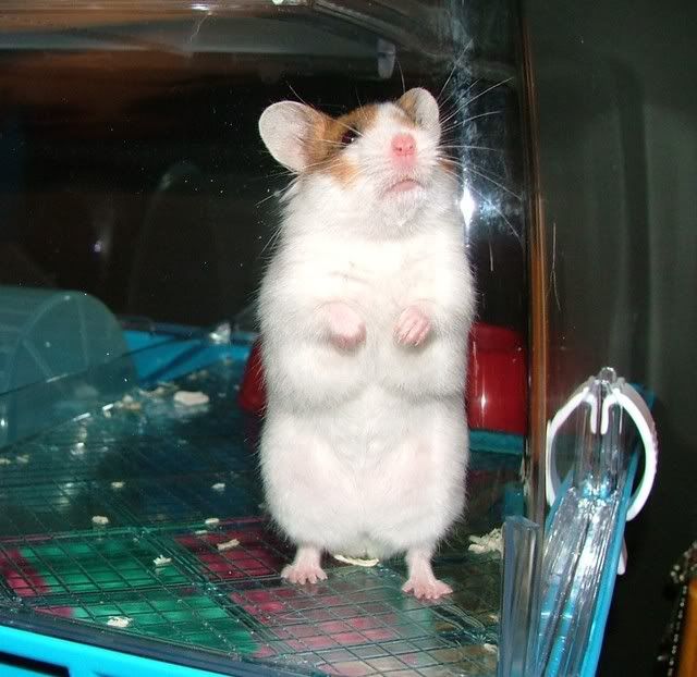 Awwwwwwww.jpg