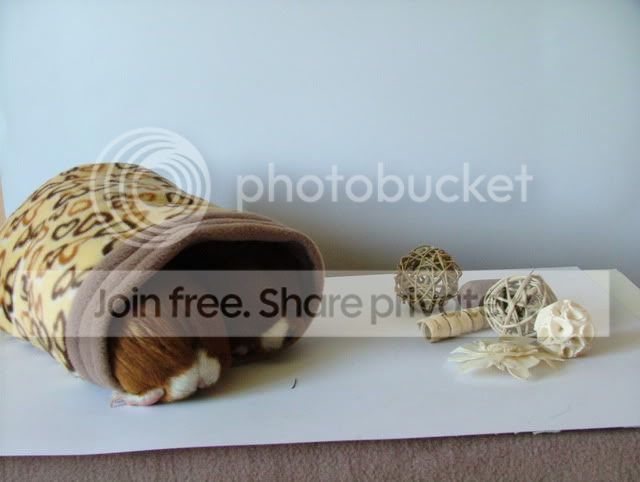 DSCF2718.jpg