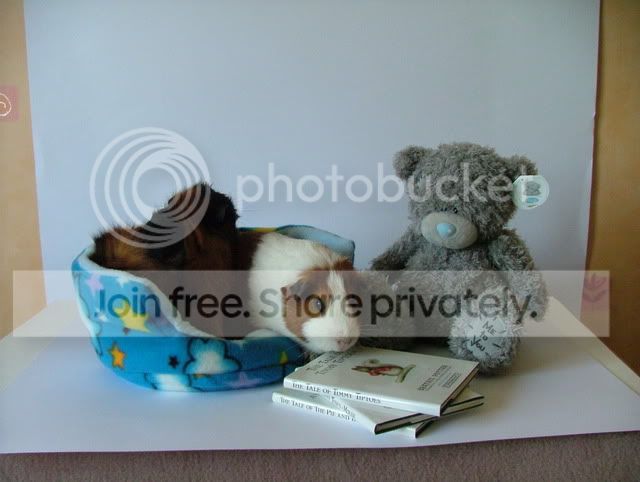 DSCF2724.jpg