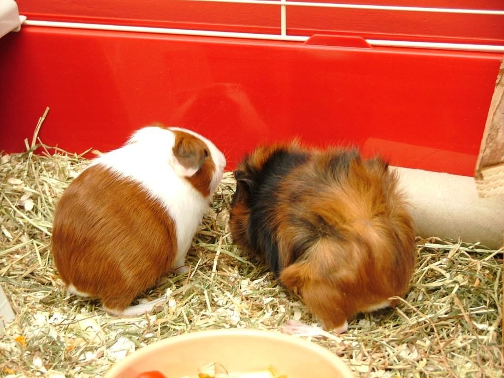 DSCF4984.jpg