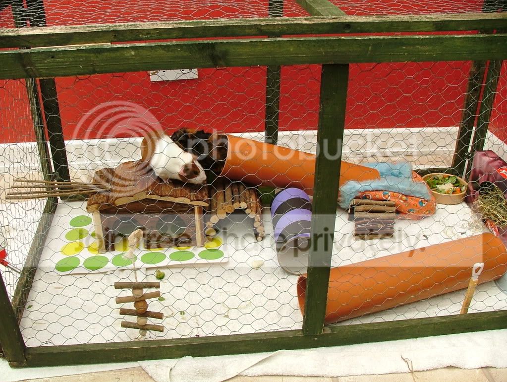 DSCF5676.jpg