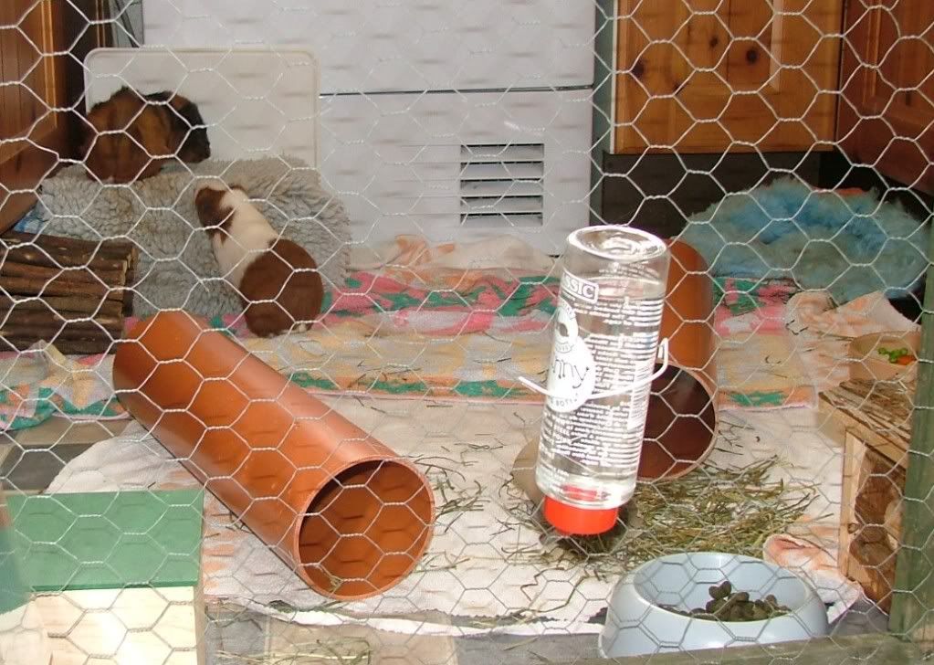 DSCF5692.jpg