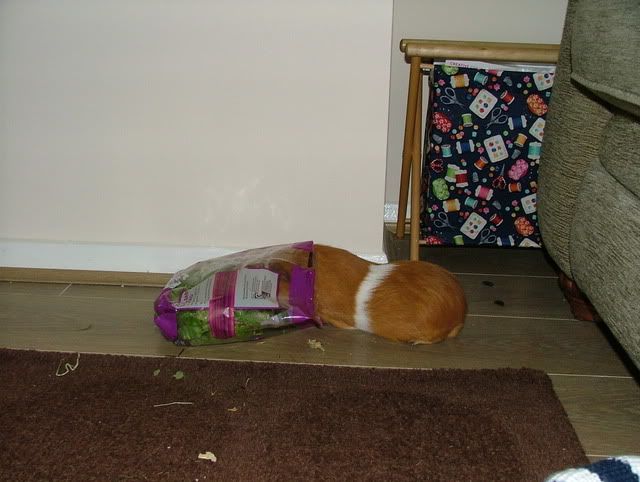 DSCF4861.jpg