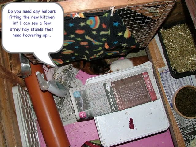checkingoutmycleaning.jpg