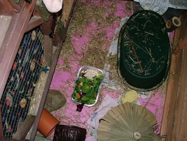 messyboys.jpg