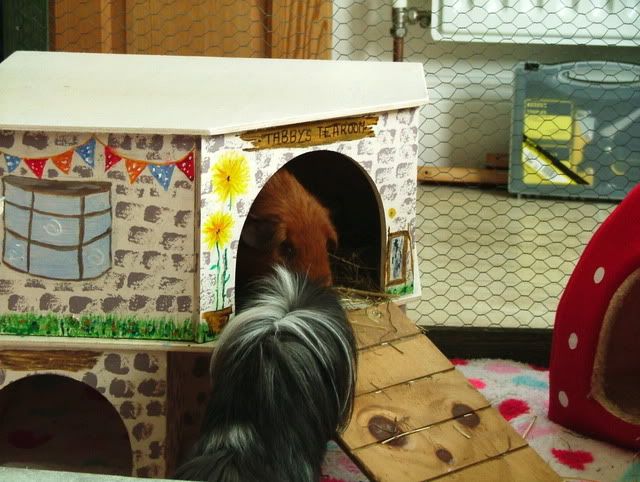 DSCF5751.jpg