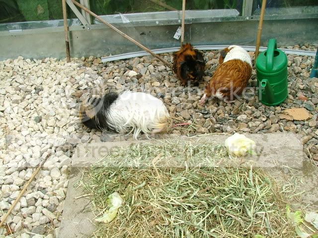 DSCF1769.jpg