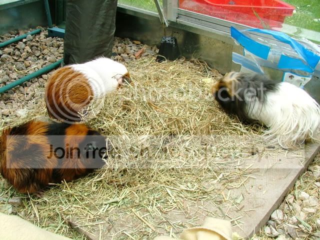 DSCF1785.jpg