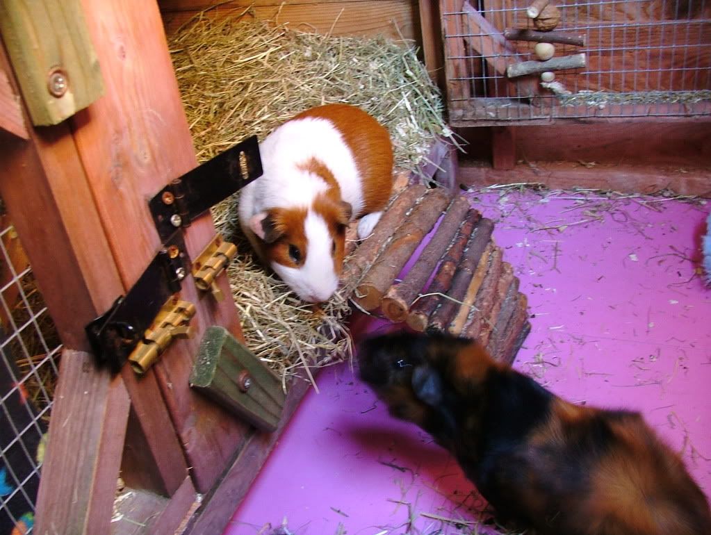 DSCF6547.jpg