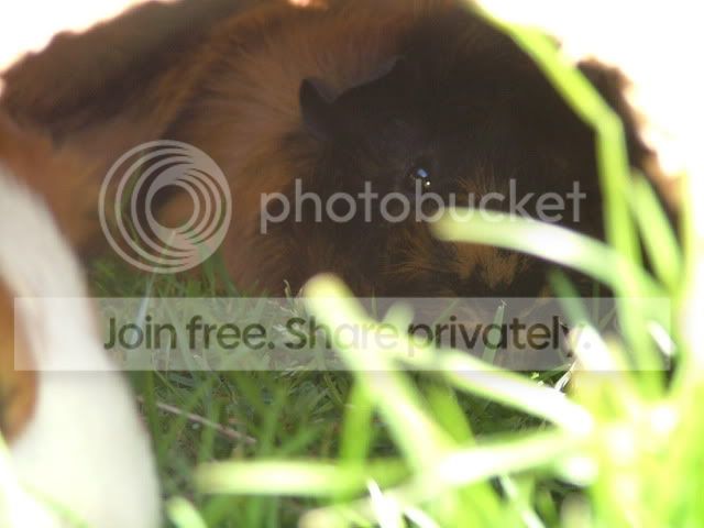 DSCF1127.jpg