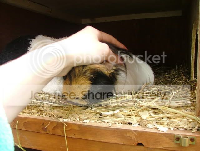 DSCF3264.jpg