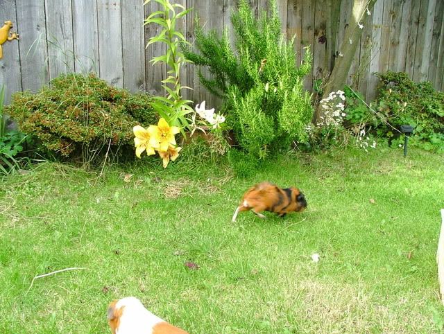 DSCF4989.jpg