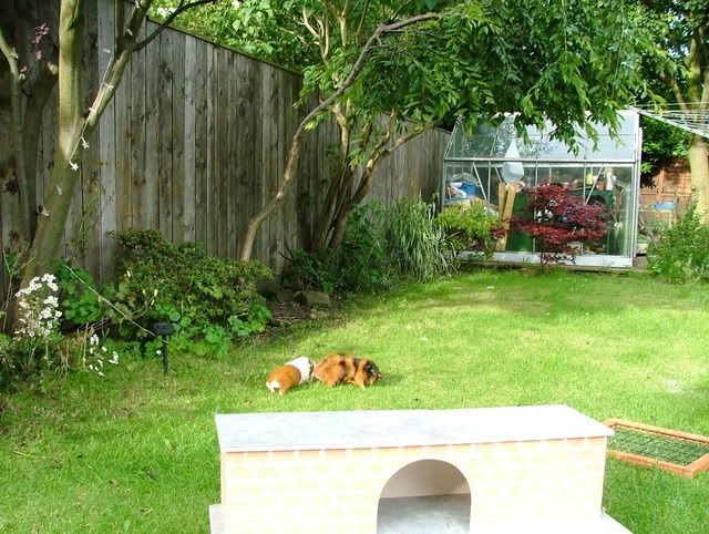 DSCF4991.jpg