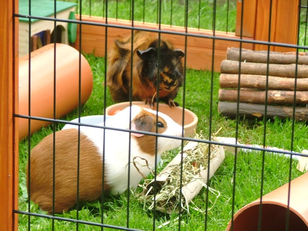 Theboys-1.jpg